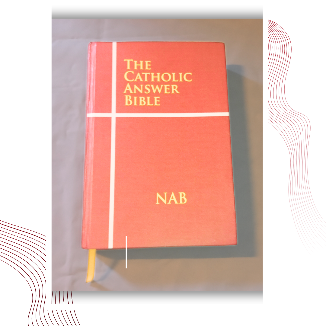 Holy American Bible - Image 7
